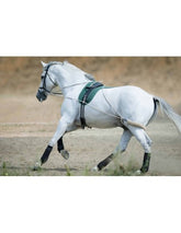 "Pessoa" futószárazós tréning- segéd